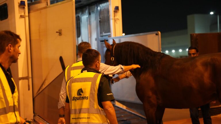 Equitrans loading a horse
